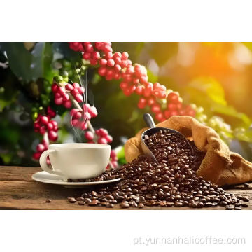 Feijão Verde Hali Arábica